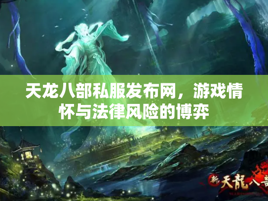 天龙八部私服发布网，游戏情怀与法律风险的博弈