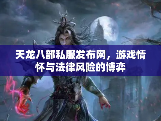 天龙八部私服发布网，游戏情怀与法律风险的博弈