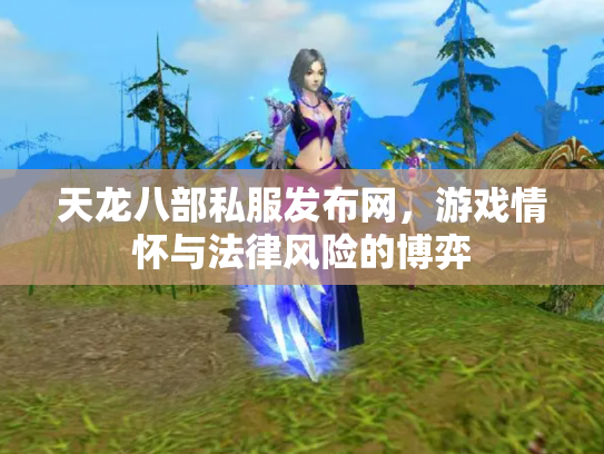 天龙八部私服发布网，游戏情怀与法律风险的博弈