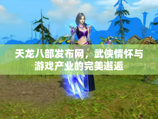 天龙八部发布网，武侠情怀与游戏产业的完美邂逅