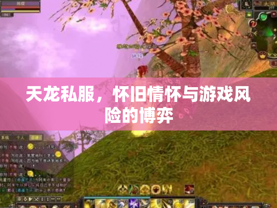 天龙私服，怀旧情怀与游戏风险的博弈