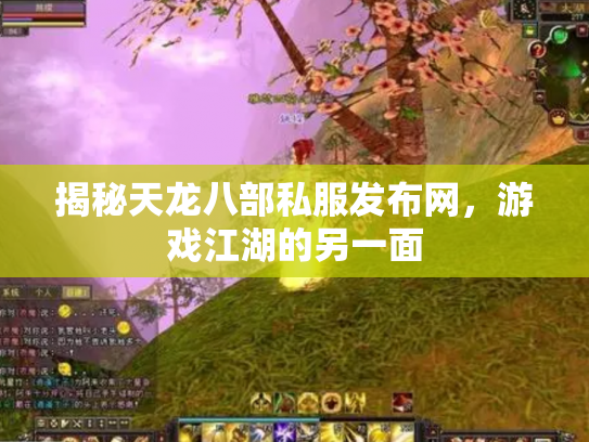揭秘天龙八部私服发布网，游戏江湖的另一面