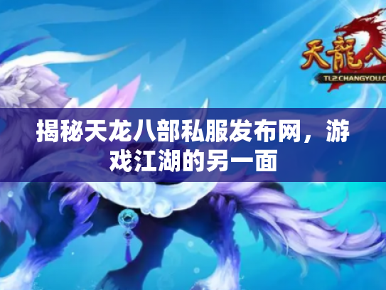揭秘天龙八部私服发布网，游戏江湖的另一面