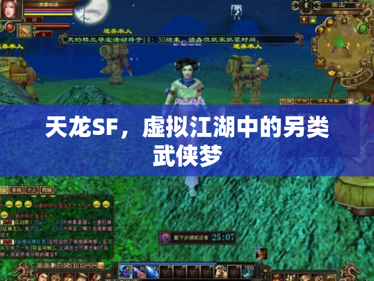 天龙SF，虚拟江湖中的另类武侠梦