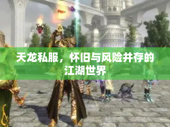 天龙私服，怀旧与风险并存的江湖世界