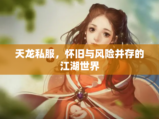 天龙私服，怀旧与风险并存的江湖世界