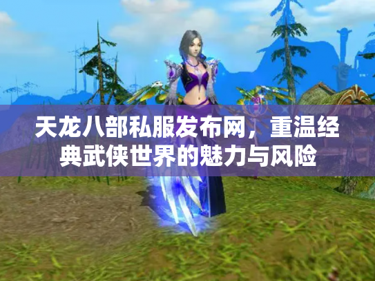天龙八部私服发布网，重温经典武侠世界的魅力与风险