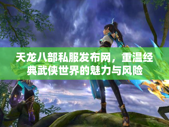 天龙八部私服发布网，重温经典武侠世界的魅力与风险