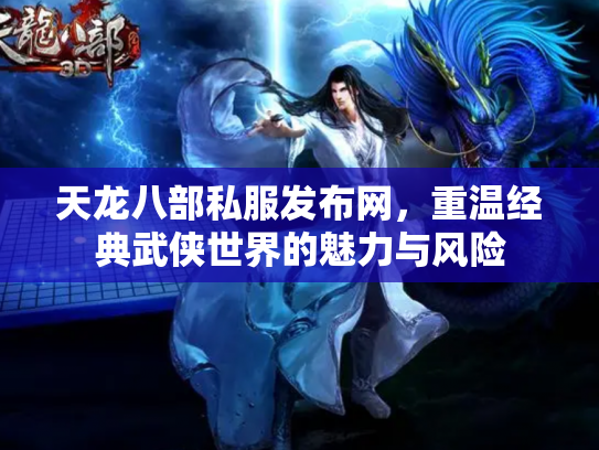 天龙八部私服发布网，重温经典武侠世界的魅力与风险