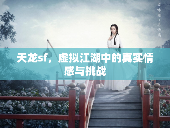 天龙sf，虚拟江湖中的真实情感与挑战