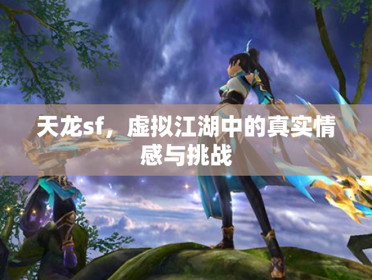 天龙sf，虚拟江湖中的真实情感与挑战