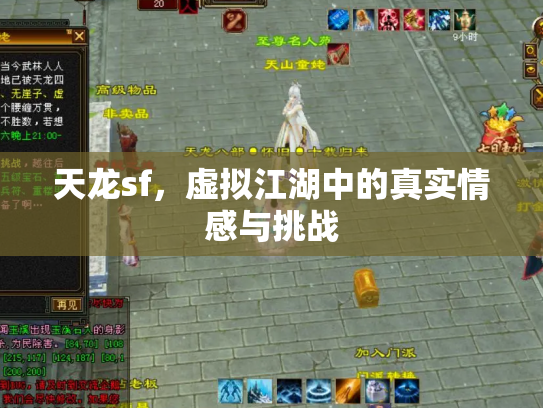 天龙sf，虚拟江湖中的真实情感与挑战