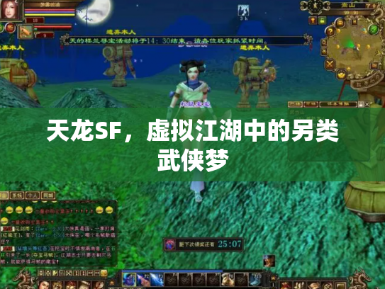 天龙SF，虚拟江湖中的另类武侠梦