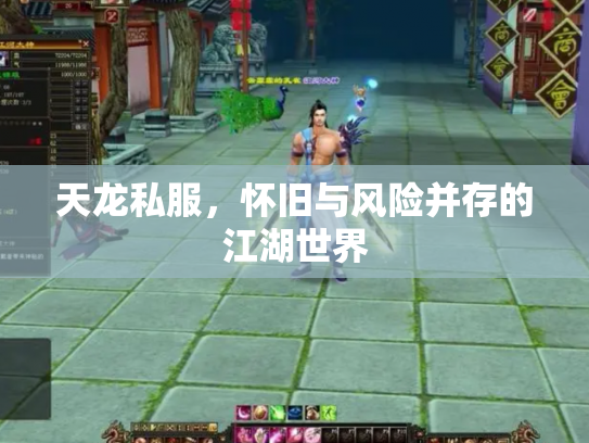 天龙私服，怀旧与风险并存的江湖世界