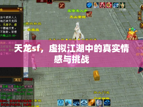 天龙sf，虚拟江湖中的真实情感与挑战