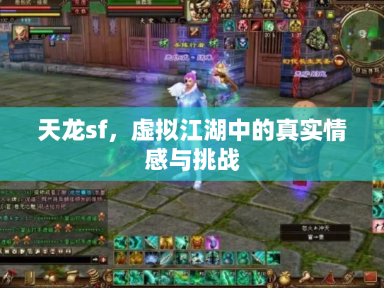 天龙sf，虚拟江湖中的真实情感与挑战