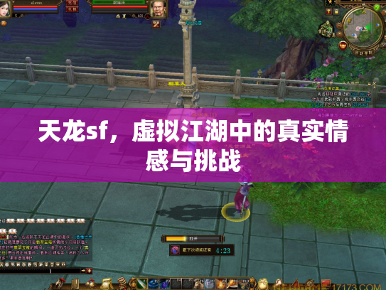 天龙sf，虚拟江湖中的真实情感与挑战