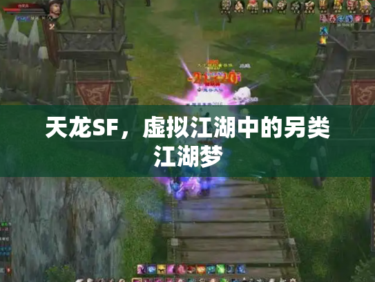 天龙SF，虚拟江湖中的另类江湖梦