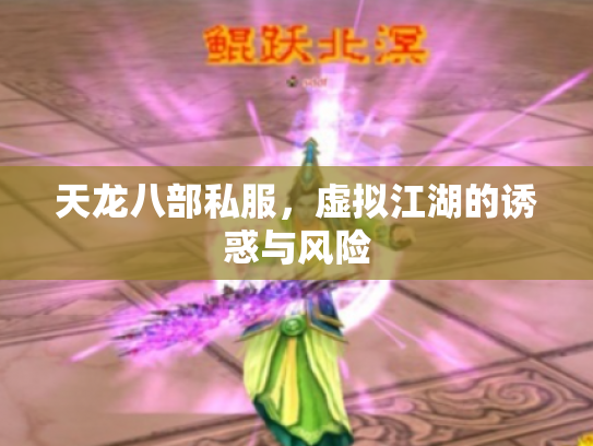 天龙八部私服，虚拟江湖的诱惑与风险