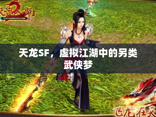 天龙SF，虚拟江湖中的另类武侠梦