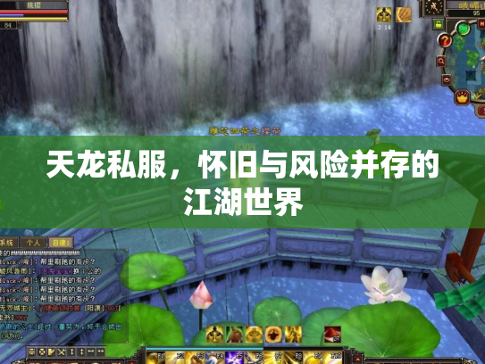 天龙私服，怀旧与风险并存的江湖世界