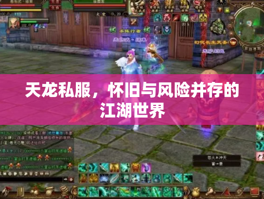 天龙私服，怀旧与风险并存的江湖世界