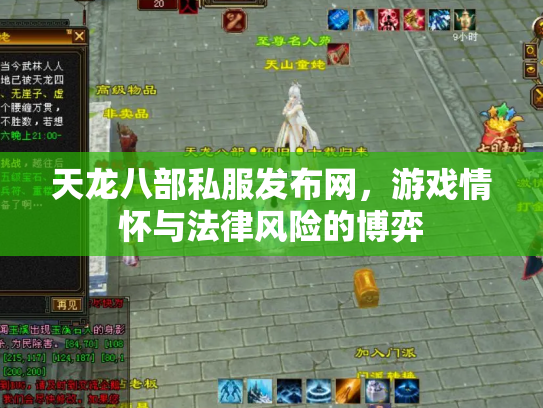 天龙八部私服发布网，游戏情怀与法律风险的博弈