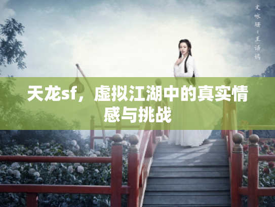 天龙sf，虚拟江湖中的真实情感与挑战