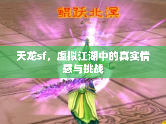 天龙sf，虚拟江湖中的真实情感与挑战