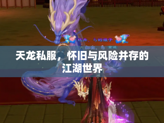 天龙私服，怀旧与风险并存的江湖世界