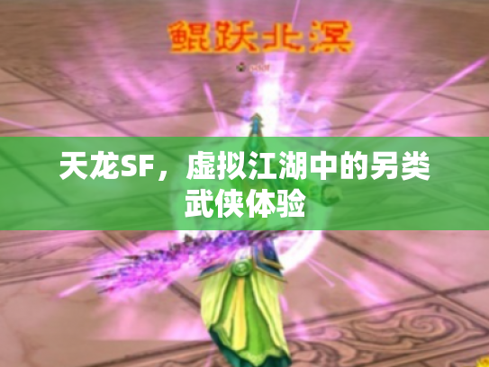 天龙SF，虚拟江湖中的另类武侠体验