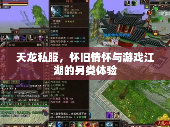 天龙私服，怀旧情怀与游戏江湖的另类体验