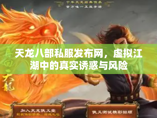 天龙八部私服发布网，虚拟江湖中的真实诱惑与风险