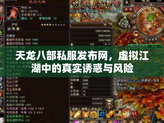 天龙八部私服发布网，虚拟江湖中的真实诱惑与风险