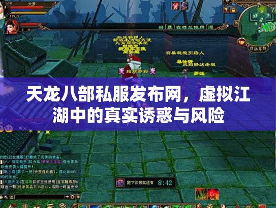 天龙八部私服发布网，虚拟江湖中的真实诱惑与风险