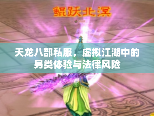 天龙八部私服，虚拟江湖中的另类体验与法律风险