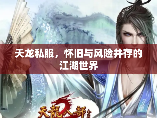 天龙私服，怀旧与风险并存的江湖世界