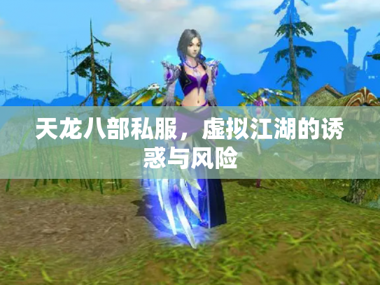 天龙八部私服，虚拟江湖的诱惑与风险