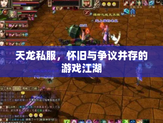 天龙私服，怀旧与争议并存的游戏江湖