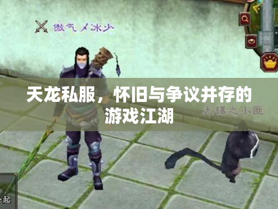 天龙私服，怀旧与争议并存的游戏江湖