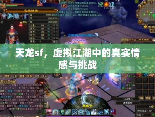 天龙sf，虚拟江湖中的真实情感与挑战