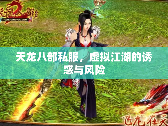 天龙八部私服，虚拟江湖的诱惑与风险