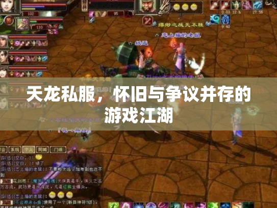 天龙私服，怀旧与争议并存的游戏江湖