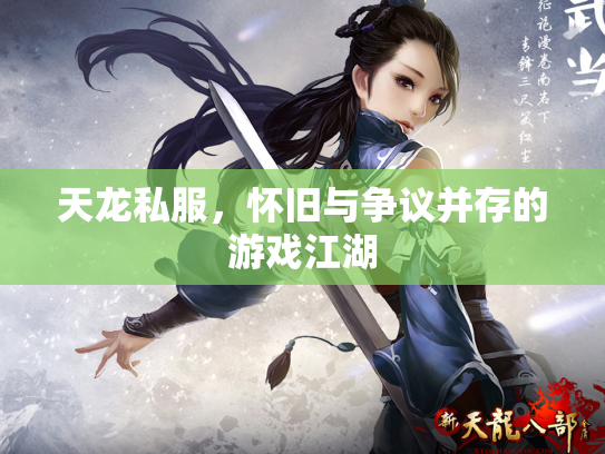 天龙私服，怀旧与争议并存的游戏江湖