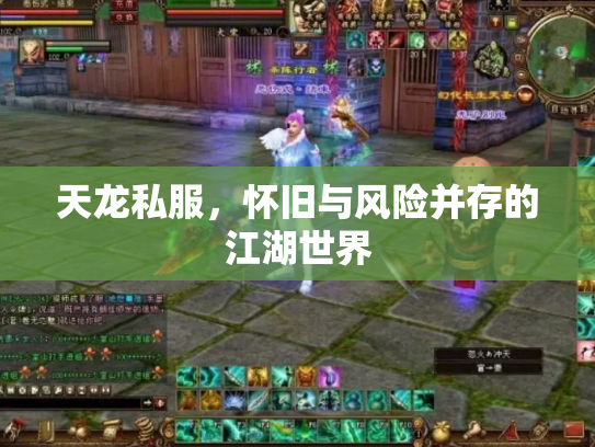 天龙私服，怀旧与风险并存的江湖世界