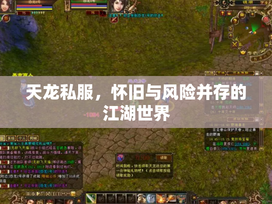 天龙私服，怀旧与风险并存的江湖世界