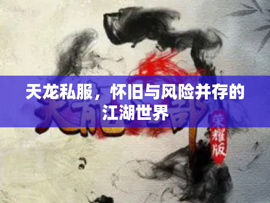 天龙私服，怀旧与风险并存的江湖世界