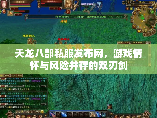 天龙八部私服发布网，游戏情怀与风险并存的双刃剑