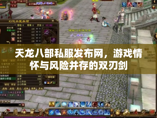 天龙八部私服发布网，游戏情怀与风险并存的双刃剑
