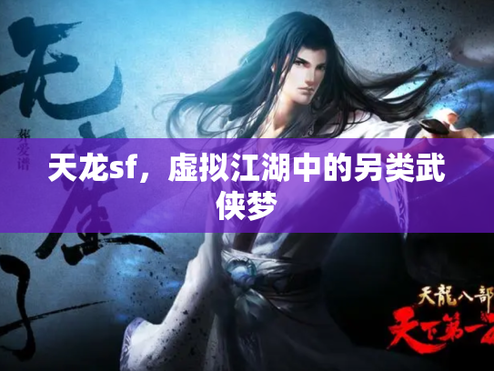 天龙sf，虚拟江湖中的另类武侠梦